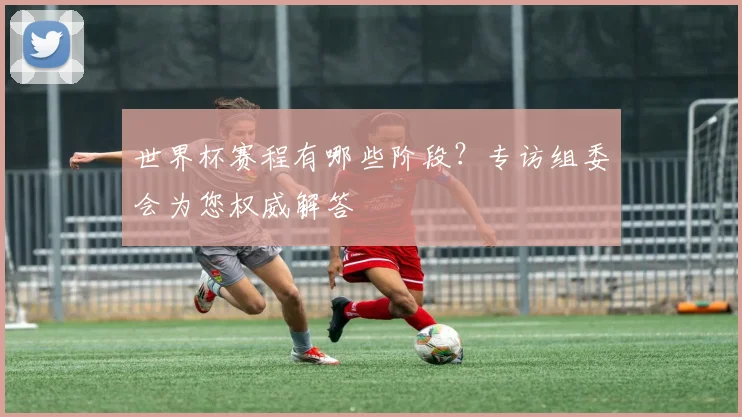 世界杯赛程有哪些阶段？专访组委会为您权威解答