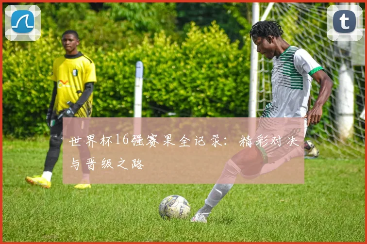 世界杯16强赛果全记录:精彩对决与晋级之路